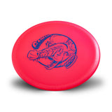 Innova Caiman Champion - CFR